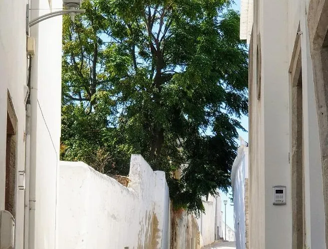 度假居 Casa Familia Cardoso 塔维拉